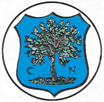 Stemma Nogaredo