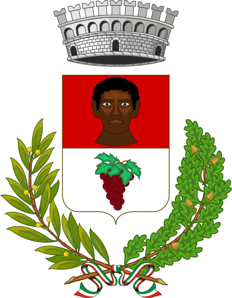 Stemma Negrar in Valpolicella – Gestione delle aree di sosta a pagamento